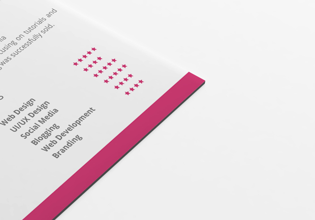pink-resume
